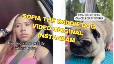 sophie the baddie dog|Sofia The Baddie Dog Video Leak Check rationalinsurgent